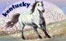 Kentucky Badge
Word Search Daily
Feb 7, 2012