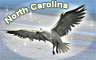 North Carolina Badge
Word Search Daily
Oct 24, 2008