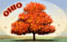 Ohio Badge
Word Search Daily
Dec 19, 2009 Ohio Badge
Word Search Daily
Dec 19, 2009