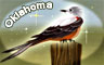 Oklahoma Badge
Word Search Daily
Jan 11, 2012 Oklahoma Badge
Word Search Daily
Jan 11, 2012