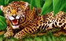 Jaguar Badge
Tri-Peaks Solitaire