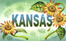 Kansas Badge
Word Search Daily
Feb 20, 2010