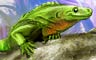 Iguana Badge
Jungle Gin
Jun 7, 2011