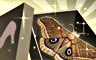 The Vanishing Moth Badge
Jigsaw Detective
Apr 1, 2012 The Vanishing Moth Badge
Jigsaw Detective
Apr 1, 2012