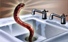 The Persistent Snakes Badge
Jigsaw Detective
Jan 26, 2012 The Persistent Snakes Badge
Jigsaw Detective
Jan 26, 2012