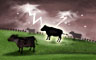 Case of the Summer Storms Badge
Jigsaw Detective
Jan 27, 2012 Case of the Summer Storms Badge
Jigsaw Detective
Jan 27, 2012
