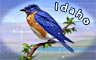 Idaho Badge
Word Search Daily
Jan 15, 2012 Idaho Badge
Word Search Daily
Jan 15, 2012
