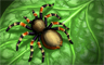 Tarantula Badge
Tri-Peaks Solitaire
Apr 19, 2013 Tarantula Badge
Tri-Peaks Solitaire
Apr 19, 2013