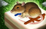 Year of the Rat Badge
Mahjong Garden
Oct 29, 2008