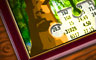 Rabbit Hunt Badge
Jigsaw Detective
Dec 17, 2009