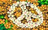 Make Flowers Not War Badge
Flower Daze
Nov 17, 2011 Make Flowers Not War Badge
Flower Daze
Nov 17, 2011