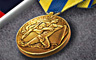 Navy Expeditionary Medal Badge - BATTLESHIP: Naval Combat Navy Expeditionary Medal Badge - BATTLESHIP: Naval Combat