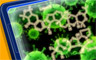 Going, Going... badge
CLUE Secrets & Spies
Mar 19, 2012 Going, Going... badge
CLUE Secrets & Spies
Mar 19, 2012