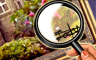The Fake Painting Badge
Claire Hart&trade;: Soul Searcher
May 22, 2012
