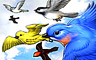 Birds of a Feather badge
CLUE Secrets & Spies
Apr 13, 2013 Birds of a Feather badge
CLUE Secrets & Spies
Apr 13, 2013