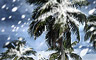 Bleak Forecast badge
CLUE Secrets & Spies
Feb 27, 2013 Bleak Forecast badge
CLUE Secrets & Spies
Feb 27, 2013