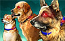 Dog Day Afternoon badge
CLUE Secrets & Spies
Apr 27, 2013 Dog Day Afternoon badge
CLUE Secrets & Spies
Apr 27, 2013