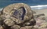 The Forgotten Love Badge
Claire Hart™: Soul Searcher
May 8, 2013 The Forgotten Love Badge
Claire Hart™: Soul Searcher
May 8, 2013