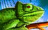 Chameleon Badge
Jungle Gin
May 12, 2013 Chameleon Badge
Jungle Gin
May 12, 2013