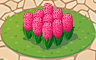 Pink Hyacinths Badge - Solitaire Gardens Pink Hyacinths Badge - Solitaire Gardens