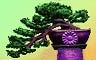 Bonsai Badge
Pop Fu
Jul 14, 2011