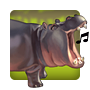 Hippo Harmony Badge
Mahjong Safari
Sep 30, 2011