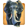 Lotsa Trunk Space Badge
Mahjong Safari
Dec 11, 2011 Lotsa Trunk Space Badge
Mahjong Safari
Dec 11, 2011