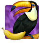 Loopy For Fruit Badge
Mahjong Safari
Dec 28, 2011 Loopy For Fruit Badge
Mahjong Safari
Dec 28, 2011