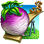 The Big Turnip Badge
Word Whomp™
Jan 16, 2013 The Big Turnip Badge
Word Whomp™
Jan 16, 2013