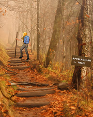 Going The Distance Badge - Vanishing Trail