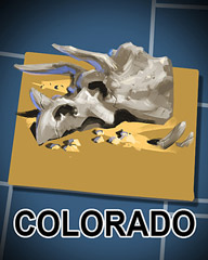 Colorado Badge - Poppit! Bingo Colorado Badge - Poppit! Bingo