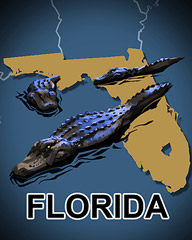 Florida Badge - World Class Solitaire HD Florida Badge - World Class Solitaire HD