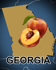 Georgia Badge - Vanishing Trail Georgia Badge - Vanishing Trail