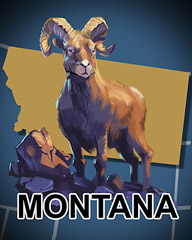 Montana Badge - Aces Up! HD Montana Badge - Aces Up! HD