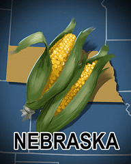 Nebraska Badge - Jet Set Solitaire Nebraska Badge - Jet Set Solitaire
