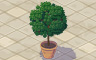 Small Tree In Round Pot Badge - Solitaire Gardens Small Tree In Round Pot Badge - Solitaire Gardens