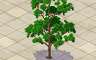 Elm Tree Badge - Solitaire Gardens Elm Tree Badge - Solitaire Gardens