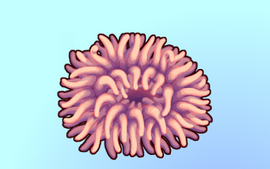Clown Castle Badge - Quinn's Aquarium Clown Castle Badge - Quinn's Aquarium