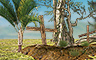 The Bermuda Triangle Chapter 4 Badge - Undiscovered World The Bermuda Triangle Chapter 4 Badge - Undiscovered World