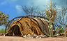 The Anasazi Mystery Chapter 5 Badge - Undiscovered World The Anasazi Mystery Chapter 5 Badge - Undiscovered World