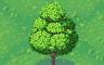 Mature Oak Tree (green) Badge - Solitaire Gardens Mature Oak Tree (green) Badge - Solitaire Gardens
