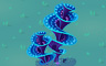 Swirling Cone Plant Badge - Solitaire Gardens Swirling Cone Plant Badge - Solitaire Gardens