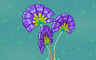 Purple Fan Plant Badge - Solitaire Gardens Purple Fan Plant Badge - Solitaire Gardens