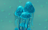 Mushroom Willows Badge - Solitaire Gardens Mushroom Willows Badge - Solitaire Gardens