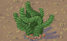 Spiral Plant Badge - Solitaire Gardens Spiral Plant Badge - Solitaire Gardens