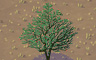 Blooming Cactus Tree Badge - Solitaire Gardens Blooming Cactus Tree Badge - Solitaire Gardens