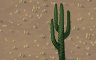 3-Pronged Cactus Badge - Solitaire Gardens 3-Pronged Cactus Badge - Solitaire Gardens