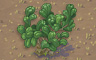 Bulbous Plant Badge - Solitaire Gardens Bulbous Plant Badge - Solitaire Gardens