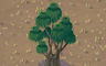 Pony Tail Palm Badge - Solitaire Gardens Pony Tail Palm Badge - Solitaire Gardens