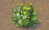 Cactus Bush Badge - Solitaire Gardens Cactus Bush Badge - Solitaire Gardens